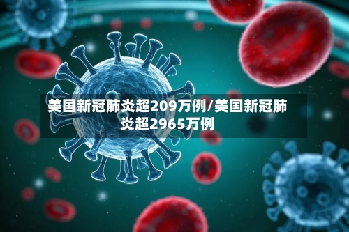 美国新冠肺炎超209万例/美国新冠肺炎超2965万例