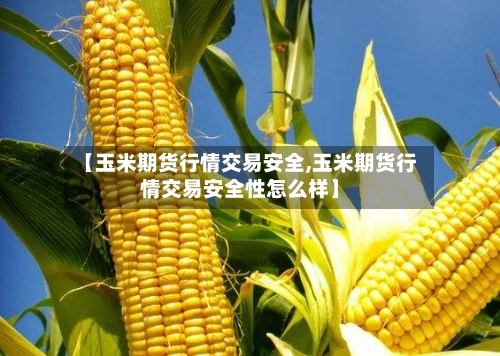 【玉米期货行情交易安全,玉米期货行情交易安全性怎么样】-第2张图片