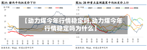 【动力煤今年行情稳定吗,动力煤今年行情稳定吗为什么】-第2张图片