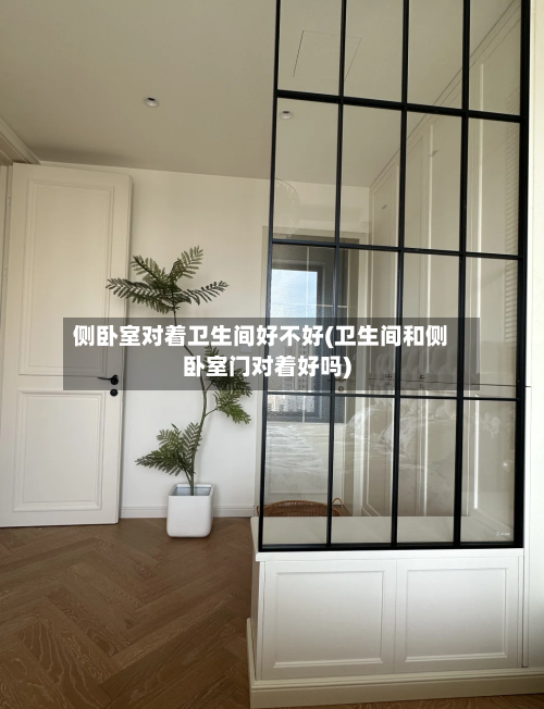 侧卧室对着卫生间好不好(卫生间和侧卧室门对着好吗)-第3张图片