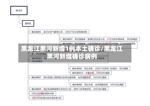 黑龙江黑河新增1例本土确诊/黑龙江黑河新增确诊病例