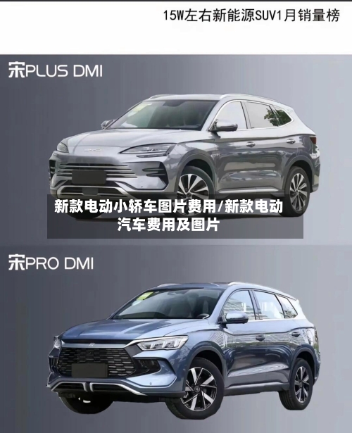 新款电动小轿车图片费用/新款电动汽车费用及图片-第2张图片