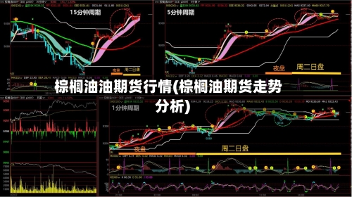 棕榈油油期货行情(棕榈油期货走势分析)