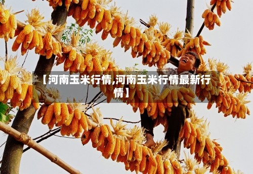 【河南玉米行情,河南玉米行情最新行情】