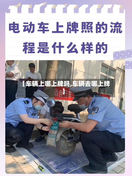 【车辆上哪上牌吗,车辆去哪上牌】-第2张图片