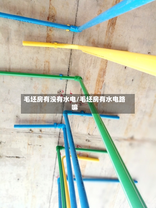 毛坯房有没有水电/毛坯房有水电路嘛