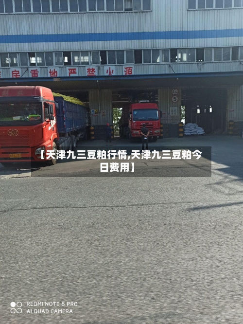 【天津九三豆粕行情,天津九三豆粕今日费用】