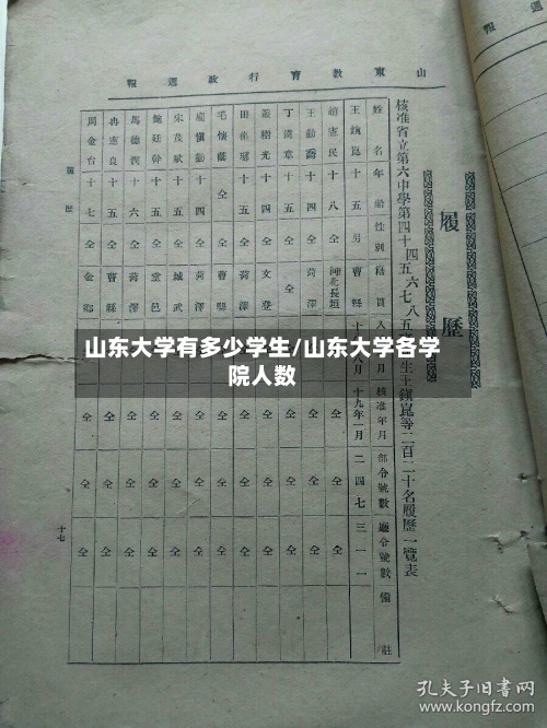 山东大学有多少学生/山东大学各学院人数