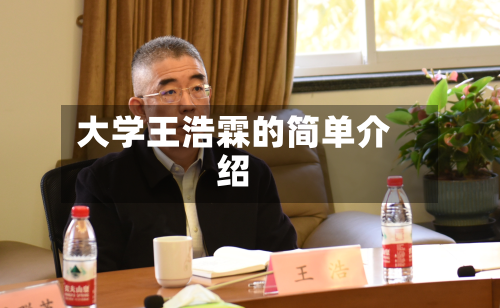 大学王浩霖的简单介绍-第2张图片