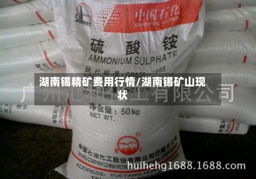 湖南锡精矿费用行情/湖南锡矿山现状