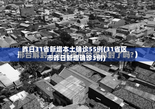 昨日31省新增本土确诊55例(31省区市昨日新增确诊3例)-第3张图片