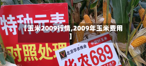 【玉米2009行情,2009年玉米费用】