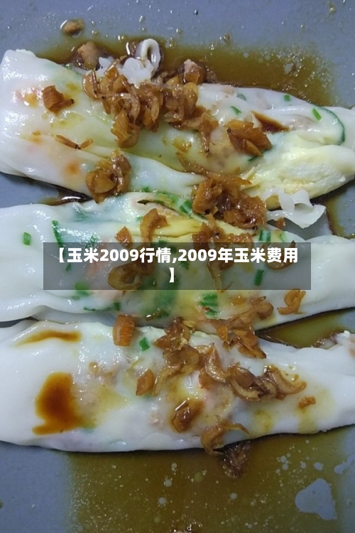 【玉米2009行情,2009年玉米费用】-第2张图片