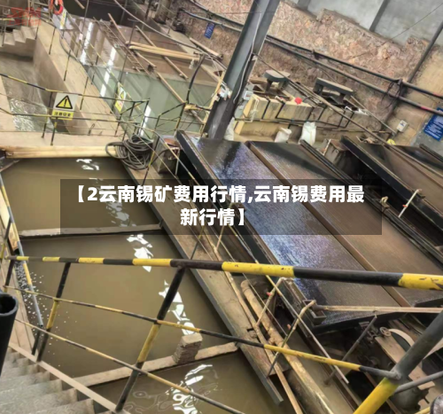 【2云南锡矿费用行情,云南锡费用最新行情】-第2张图片