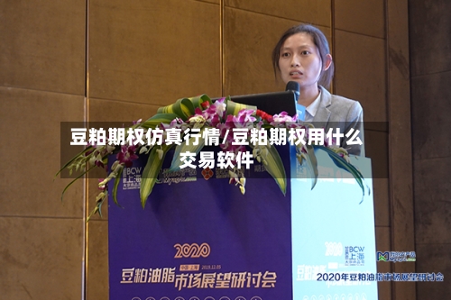 豆粕期权仿真行情/豆粕期权用什么交易软件-第2张图片