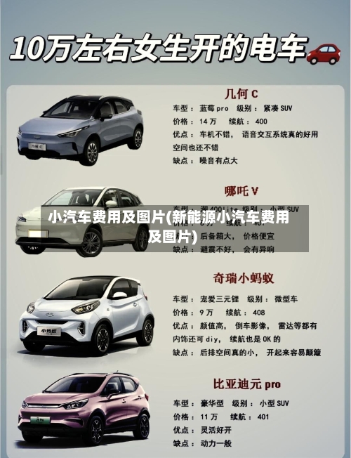 小汽车费用及图片(新能源小汽车费用及图片)-第2张图片