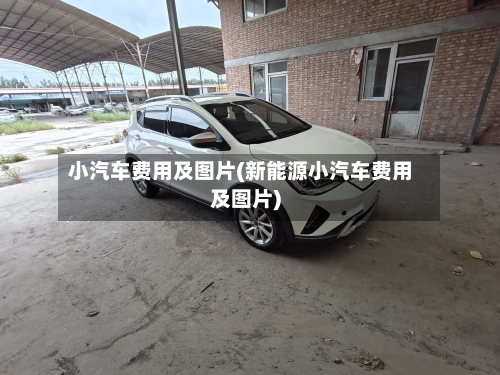 小汽车费用及图片(新能源小汽车费用及图片)