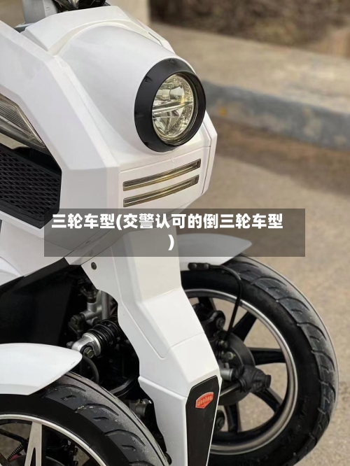 三轮车型(交警认可的倒三轮车型)-第3张图片