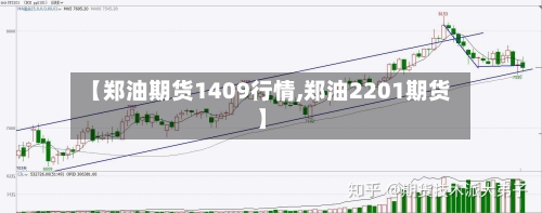 【郑油期货1409行情,郑油2201期货】