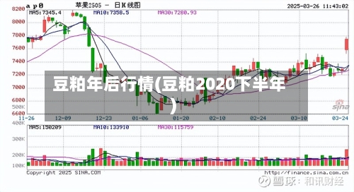 豆粕年后行情(豆粕2020下半年)-第2张图片