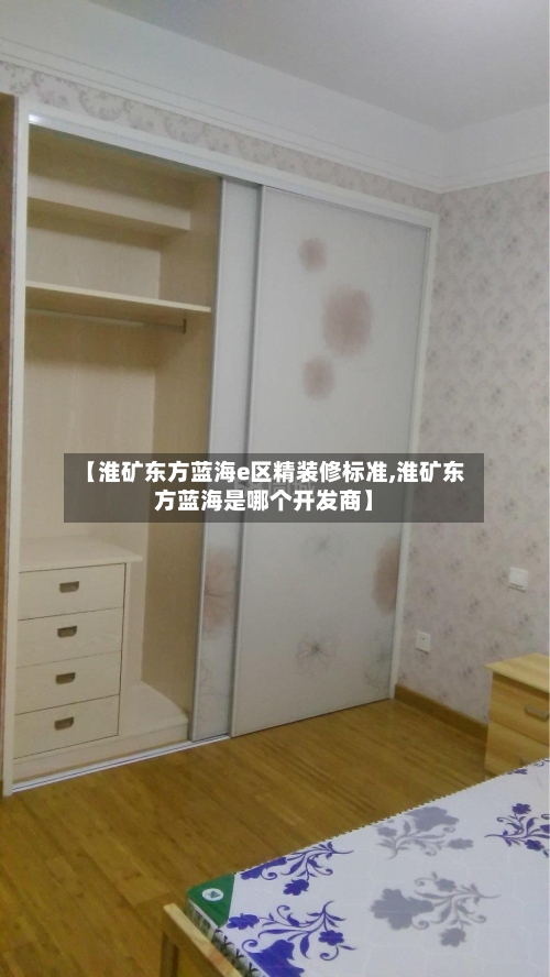 【淮矿东方蓝海e区精装修标准,淮矿东方蓝海是哪个开发商】
