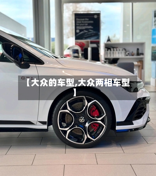 【大众的车型,大众两相车型】