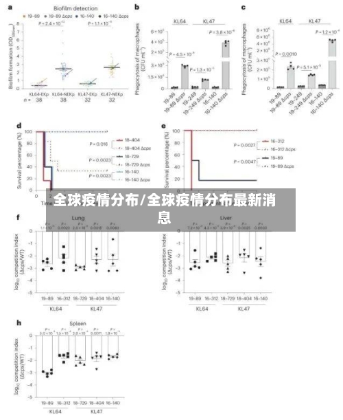 全球疫情分布/全球疫情分布最新消息