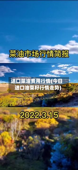 进囗菜油费用行情(今日进口油菜籽行情走势)
