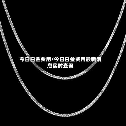 今日白金费用/今日白金费用最新消息实时查询-第2张图片