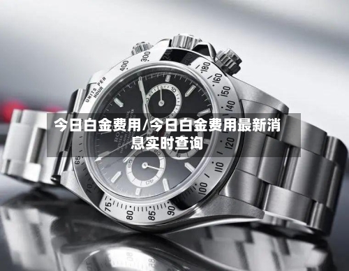 今日白金费用/今日白金费用最新消息实时查询