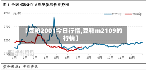 【豆粕2001今日行情,豆粕m2109的行情】-第3张图片