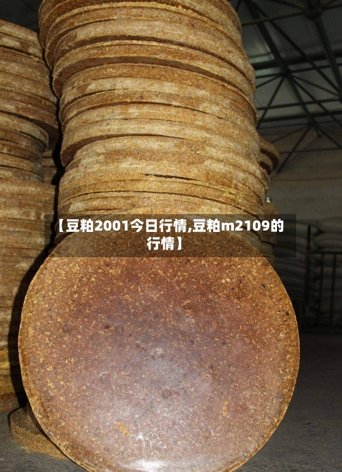 【豆粕2001今日行情,豆粕m2109的行情】