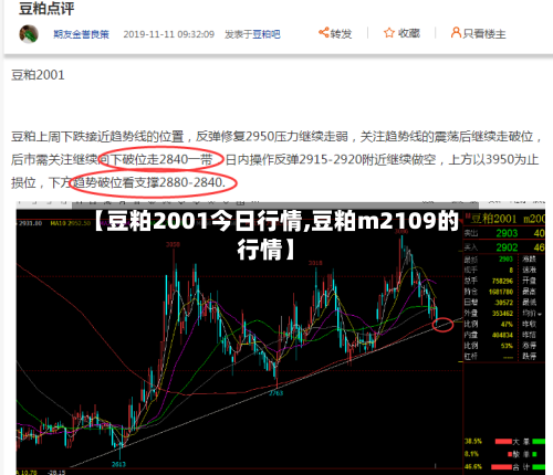 【豆粕2001今日行情,豆粕m2109的行情】-第2张图片