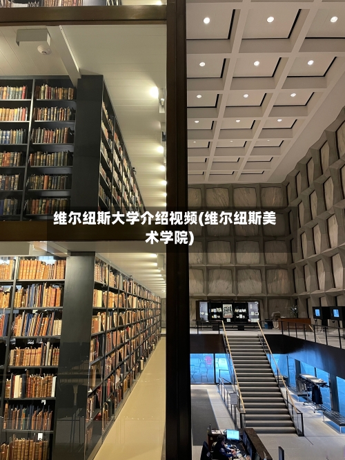 维尔纽斯大学介绍视频(维尔纽斯美术学院)