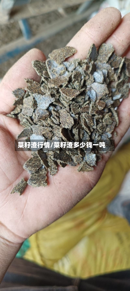 菜籽渣行情/菜籽渣多少钱一吨-第2张图片