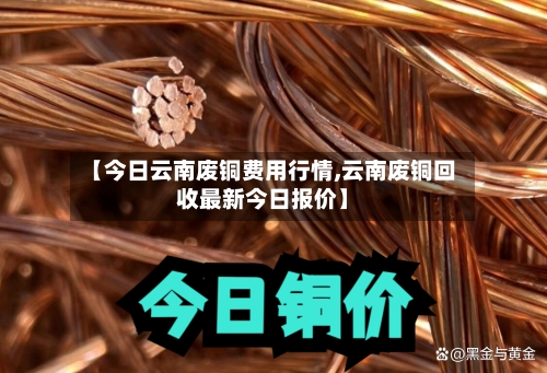 【今日云南废铜费用行情,云南废铜回收最新今日报价】-第3张图片