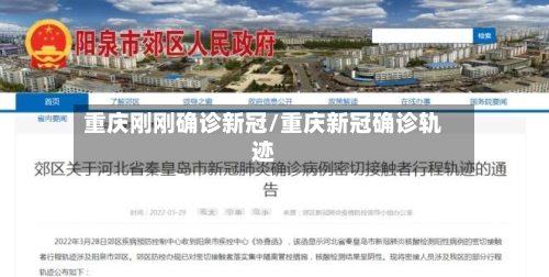 重庆刚刚确诊新冠/重庆新冠确诊轨迹-第2张图片
