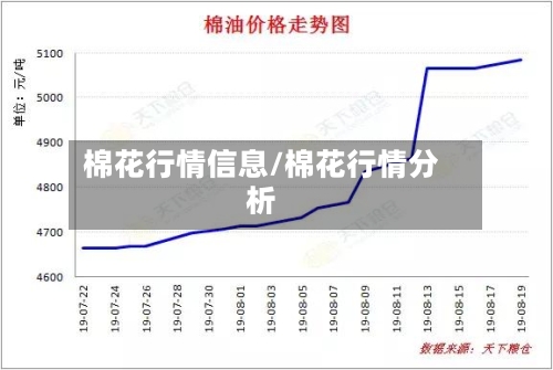 棉花行情信息/棉花行情分析