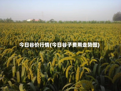 今日谷价行情(今日谷子费用走势图)