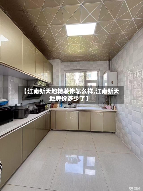 【江南新天地精装修怎么样,江南新天地房价多少了】-第2张图片