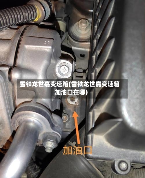 雪铁龙世嘉变速箱(雪铁龙世嘉变速箱加油口在哪)-第2张图片