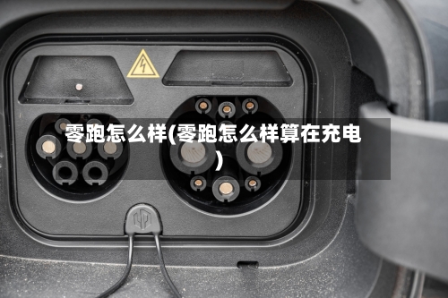 零跑怎么样(零跑怎么样算在充电)-第2张图片