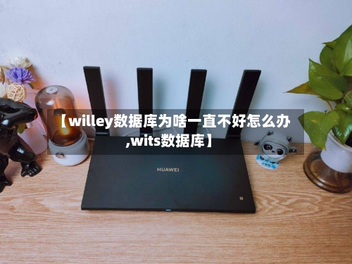 【willey数据库为啥一直不好怎么办,wits数据库】-第3张图片