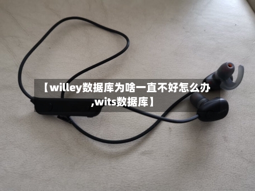 【willey数据库为啥一直不好怎么办,wits数据库】-第2张图片