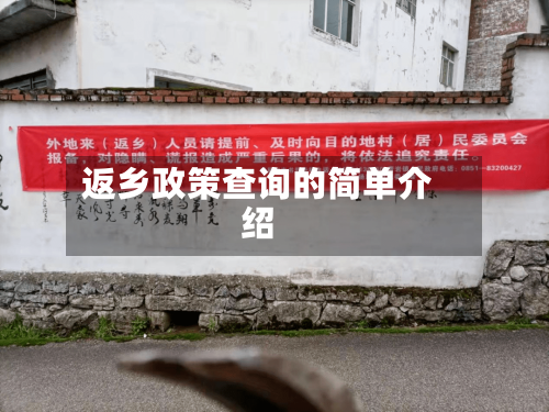 返乡政策查询的简单介绍-第2张图片