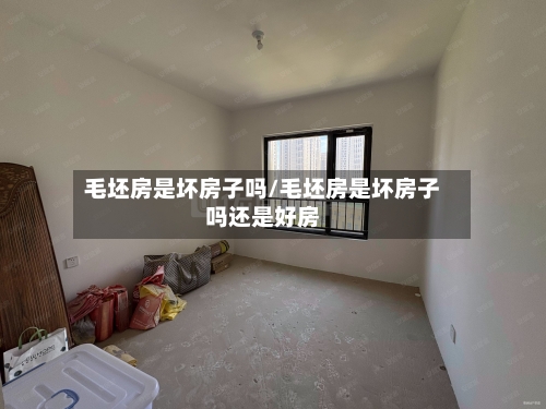毛坯房是坏房子吗/毛坯房是坏房子吗还是好房
