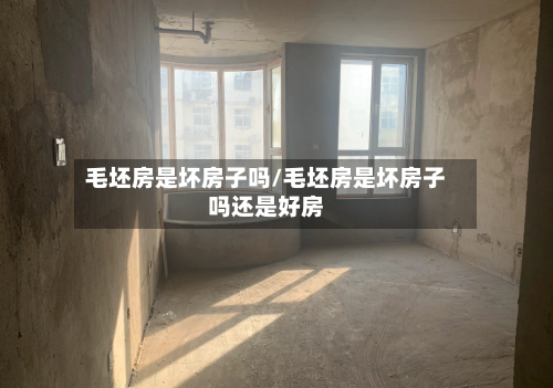 毛坯房是坏房子吗/毛坯房是坏房子吗还是好房-第2张图片