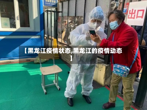 【黑龙江疫情状态,黑龙江的疫情动态】-第2张图片