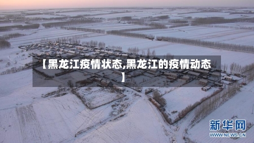 【黑龙江疫情状态,黑龙江的疫情动态】