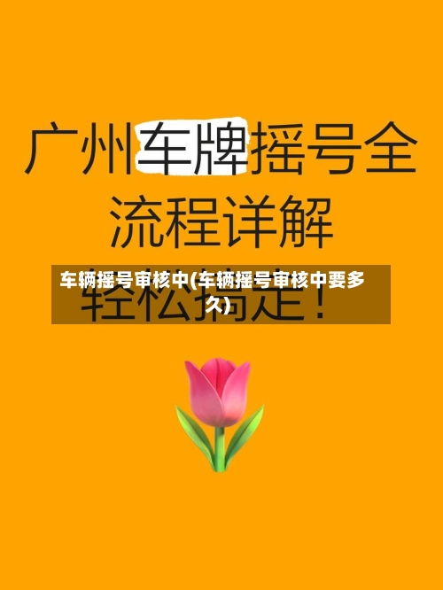 车辆摇号审核中(车辆摇号审核中要多久)-第2张图片